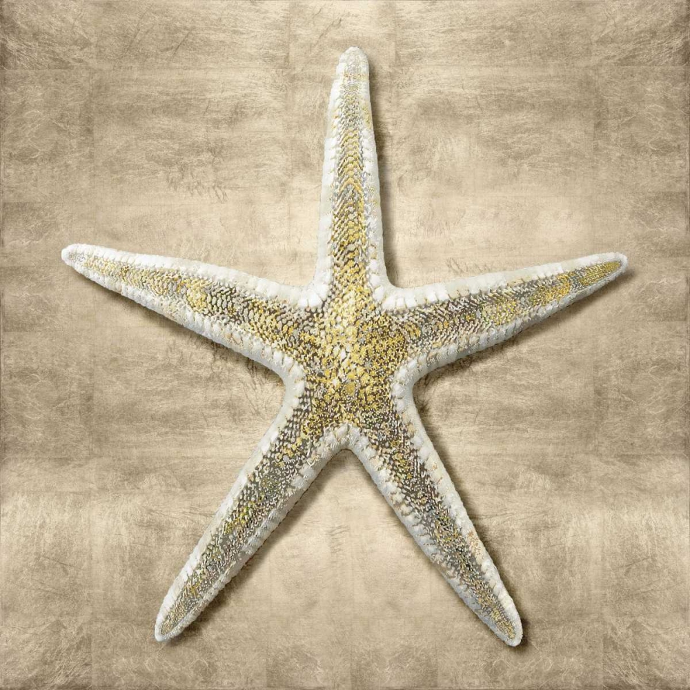 Art Print: Golden Sea Life I