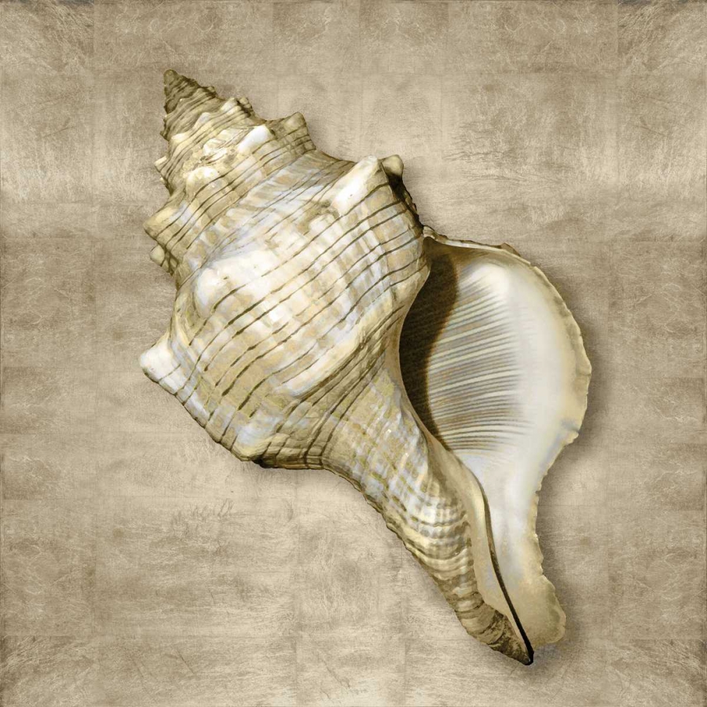 Art Print: Golden Sea Life III