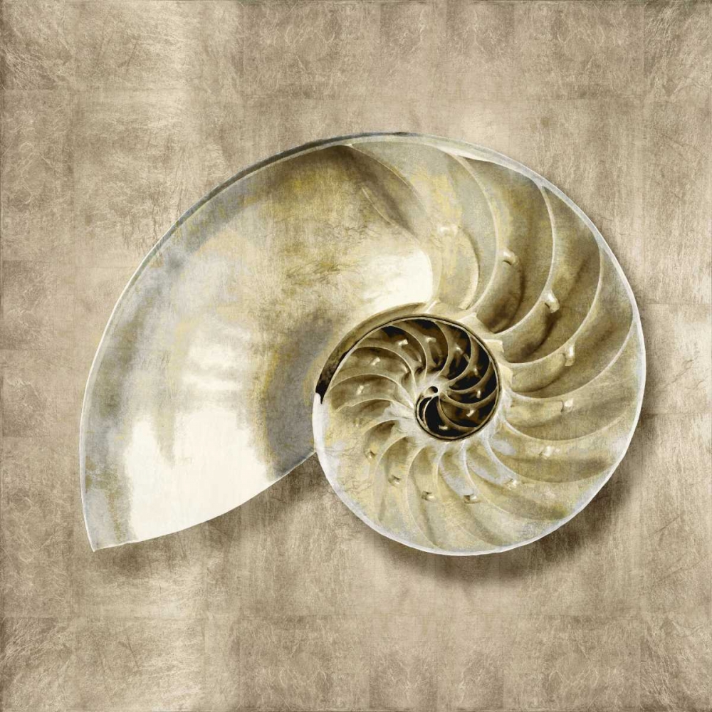 Art Print: Golden Sea Life IV