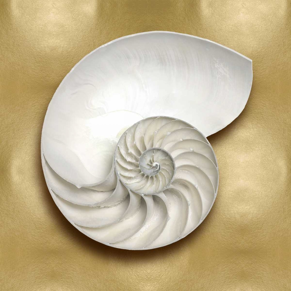 Art Print: Ocean Gem on Gold II