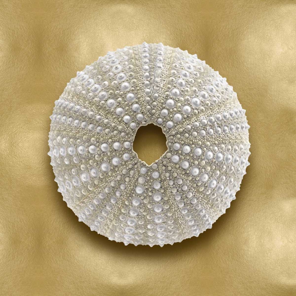 Art Print: Ocean Gem on Gold V