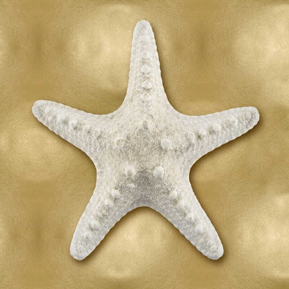 Art Print: Ocean Gem on Gold VI