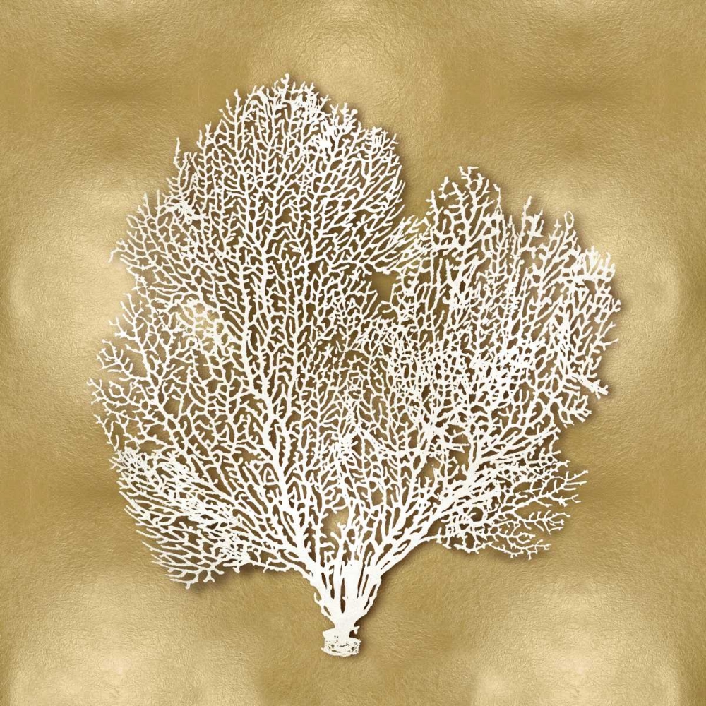 Art Print: Sea Fan on Gold II