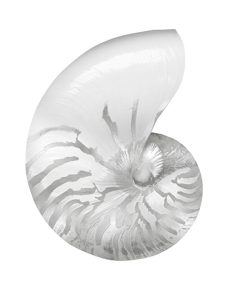 Art Print: Silver Pearl Shell III