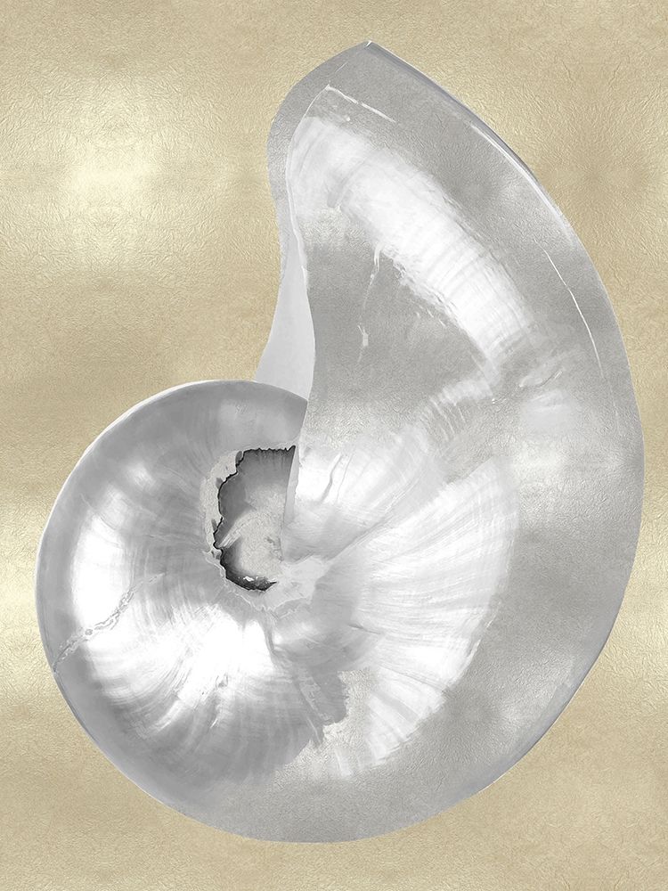 Art Print: Silver Pearl Shell on Gold I