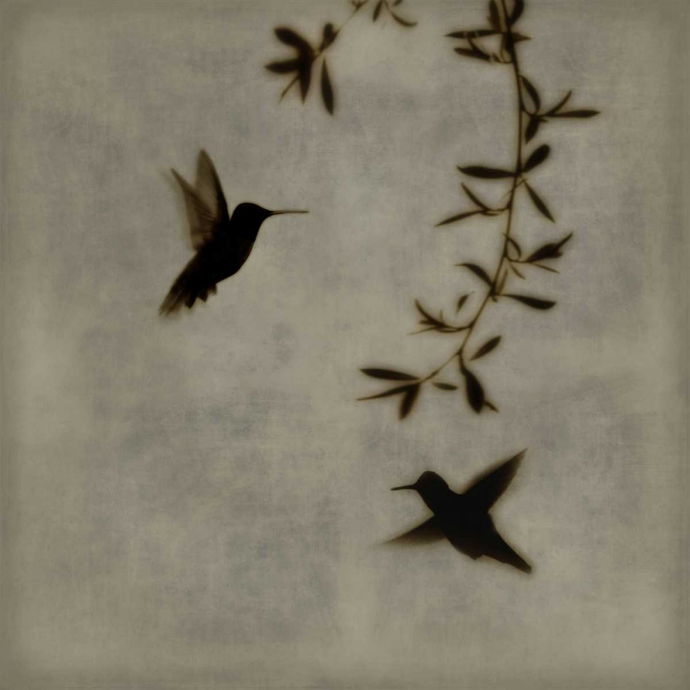 Art Print: Dance in Flight I