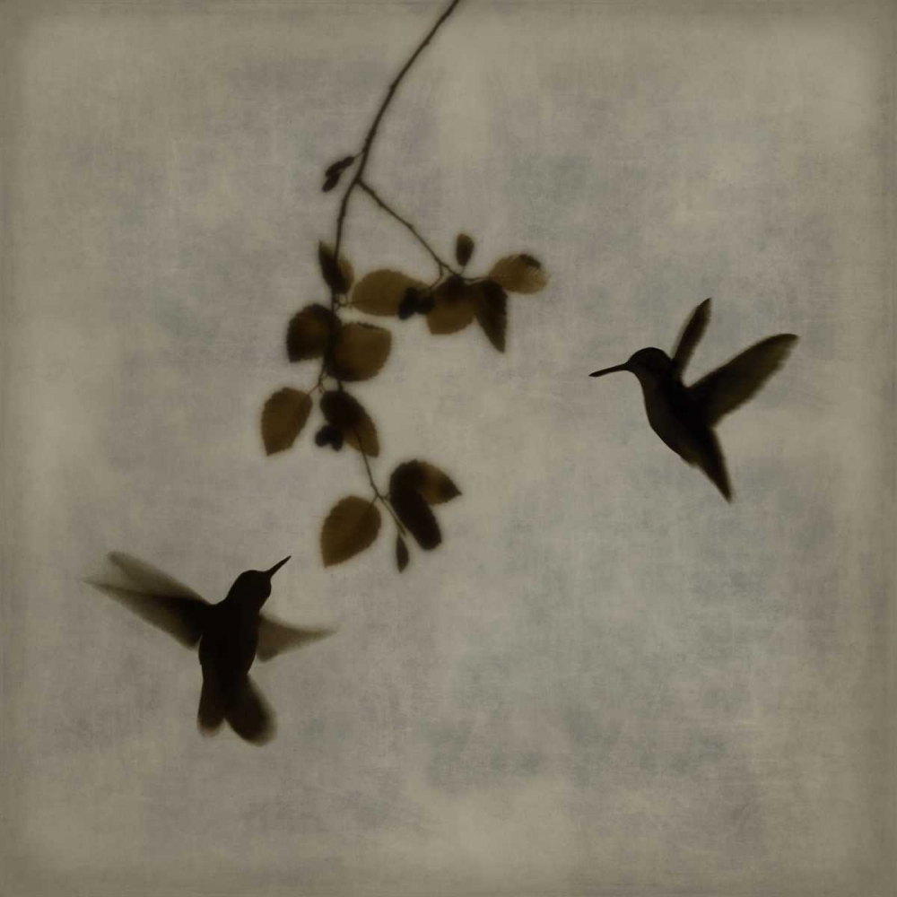 Art Print: Dance in Flight II