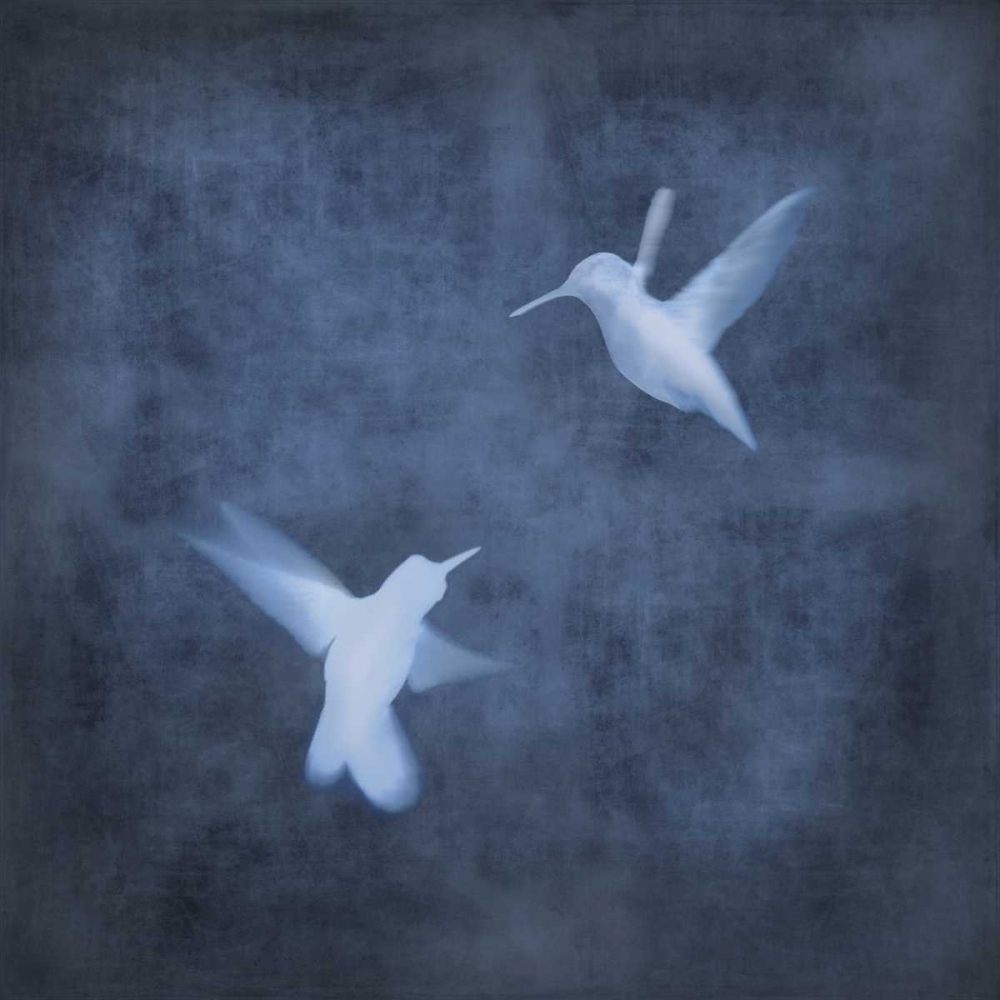 Art Print: Flight in Blue I