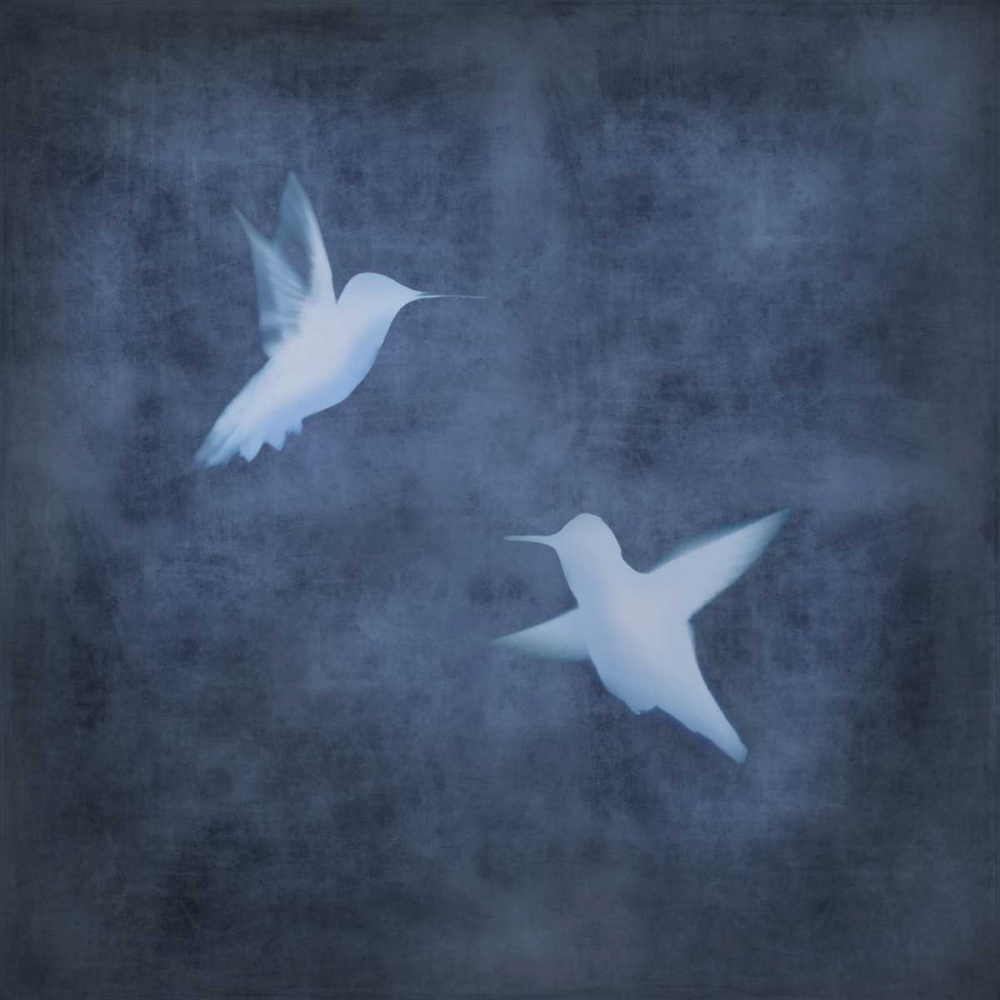 Art Print: Flight in Blue II