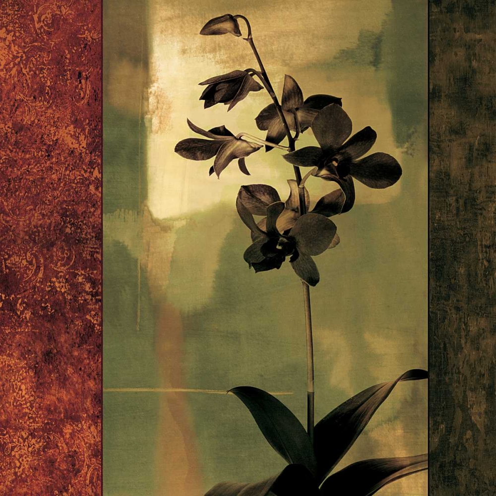 Art Print: Mesmerized II