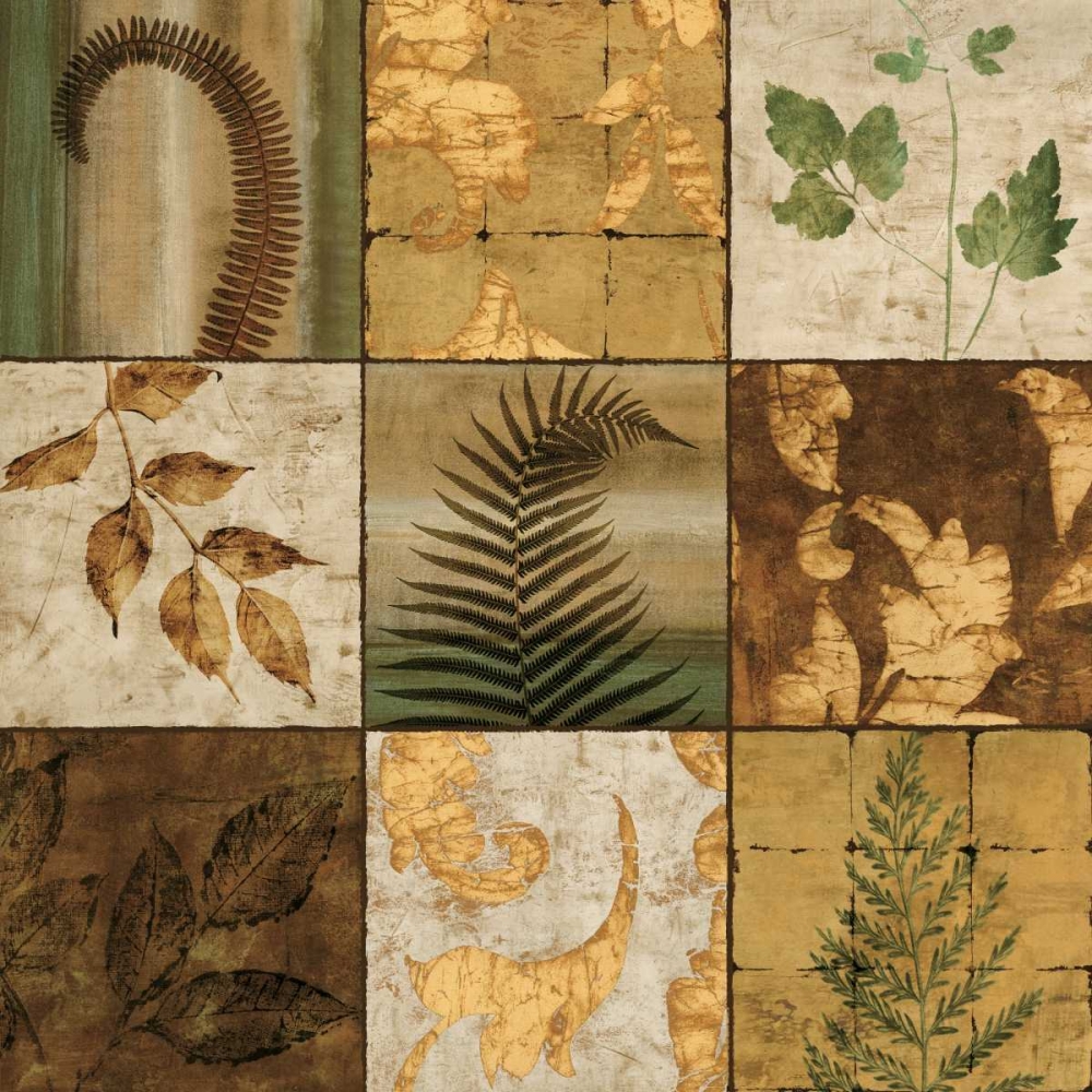 Wall art: Natures Touch II, by Donovan, Chris