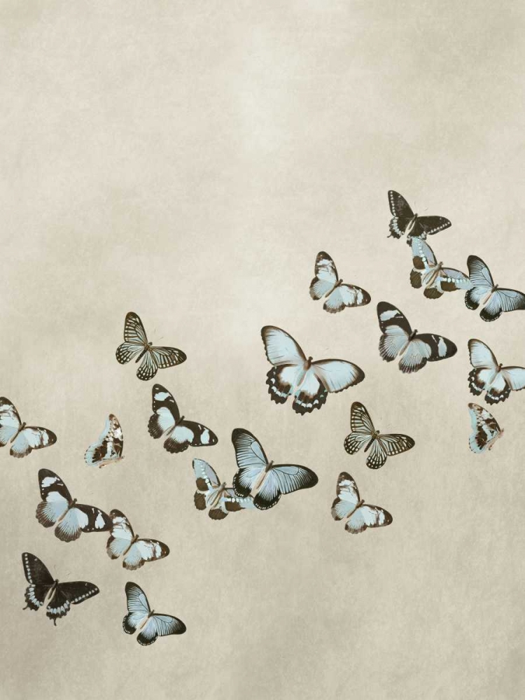 Wall Art Painting id:315005, Name: Spring Flight I, Artist: Devellier, Deborah