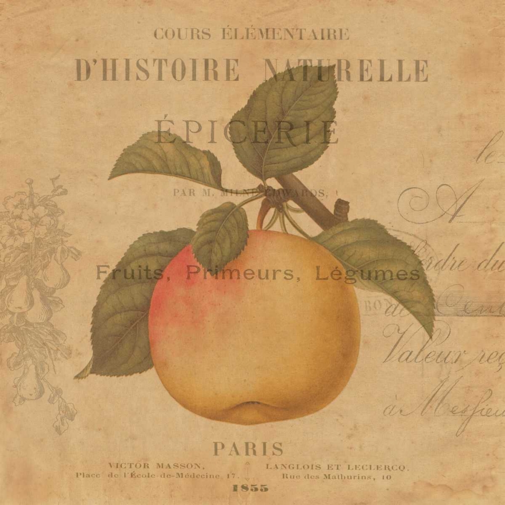 Wall Art Painting id:315856, Name: Pomme, Artist: Devellier, Deborah