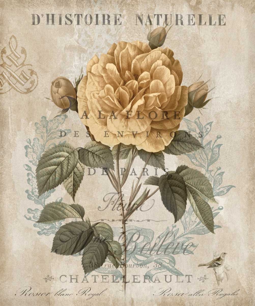 Similar wall art painting: 315864