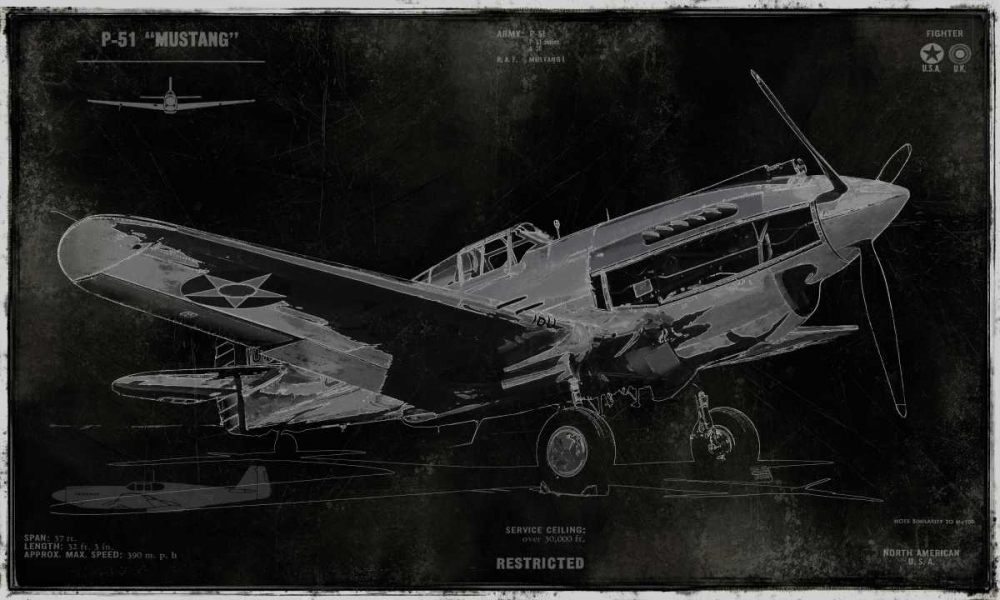 Wall art: Vintage War Plane, by Matthews, Dylan