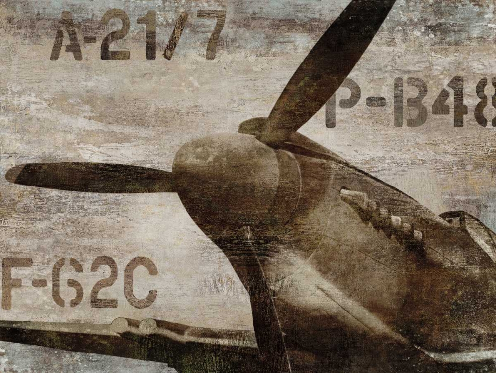 Art Print: Vintage Airplane