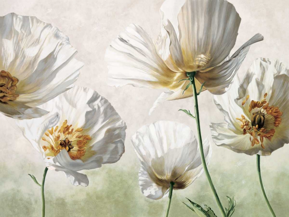 Art Print: Raggi di sole