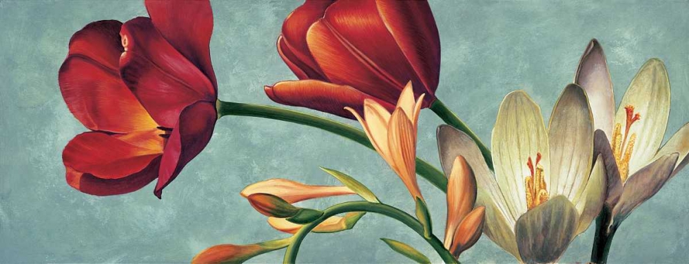 Art Print: Luce e colore I