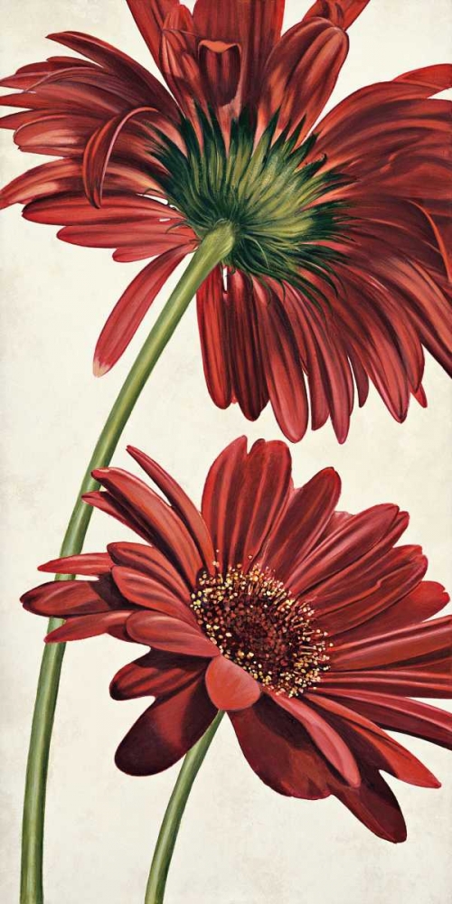 Art Print: Armonie in rosso