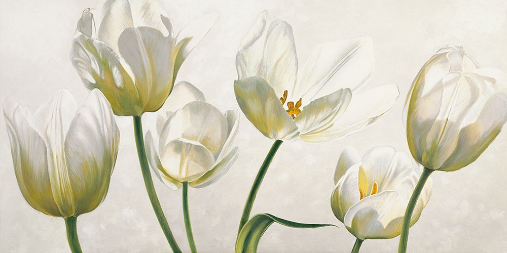 Art Print: Soffio di luce