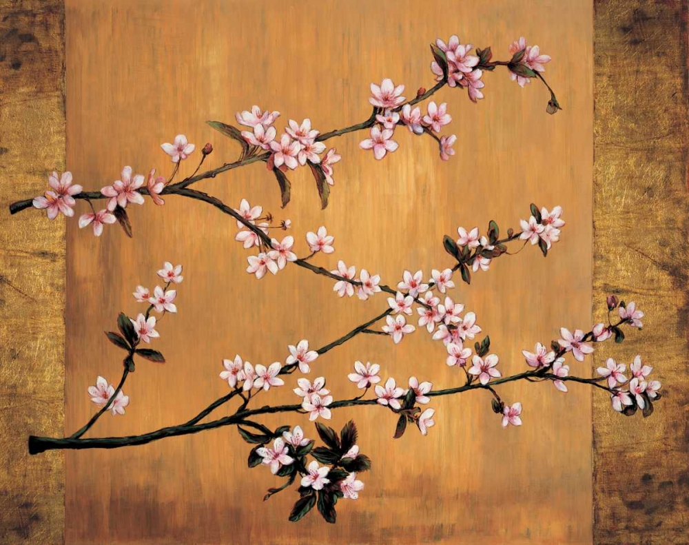 Wall art: Cherry Blossoms, by Lange, Erin