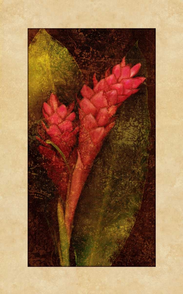 Wall Art Painting id:316318, Name: Ginger, Artist: Seba, John