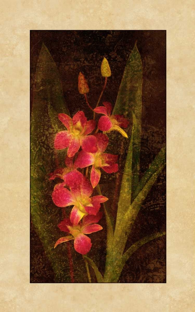 Wall Art Painting id:316319, Name: Orchid, Artist: Seba, John