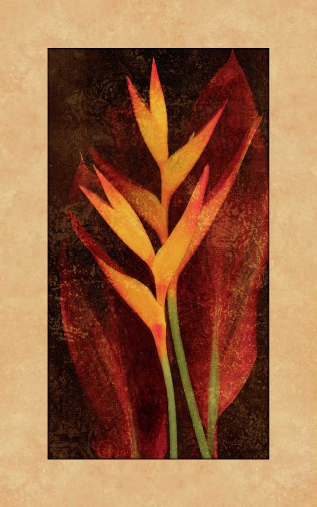 Wall Art Painting id:316321, Name: Heliconia, Artist: Seba, John