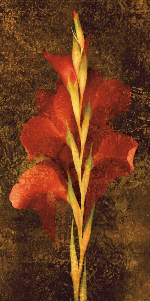 Wall Art Painting id:316324, Name: Gladiola, Artist: Seba, John