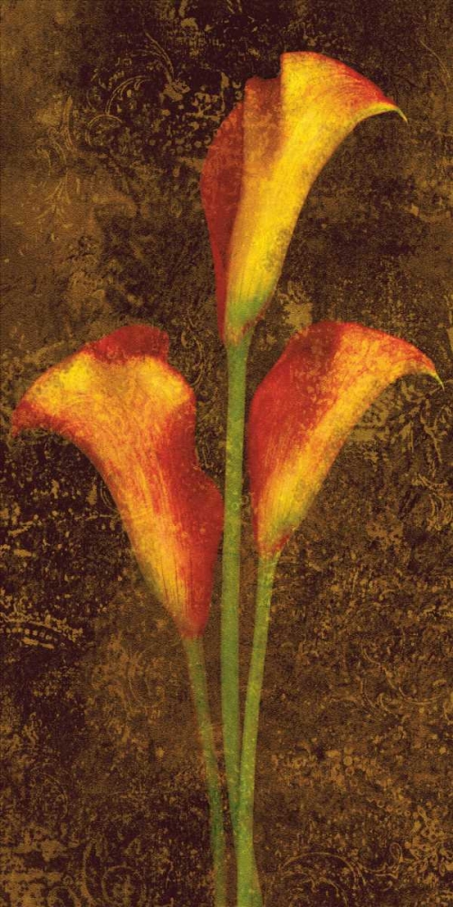 Wall Art Painting id:316325, Name: Callas, Artist: Seba, John