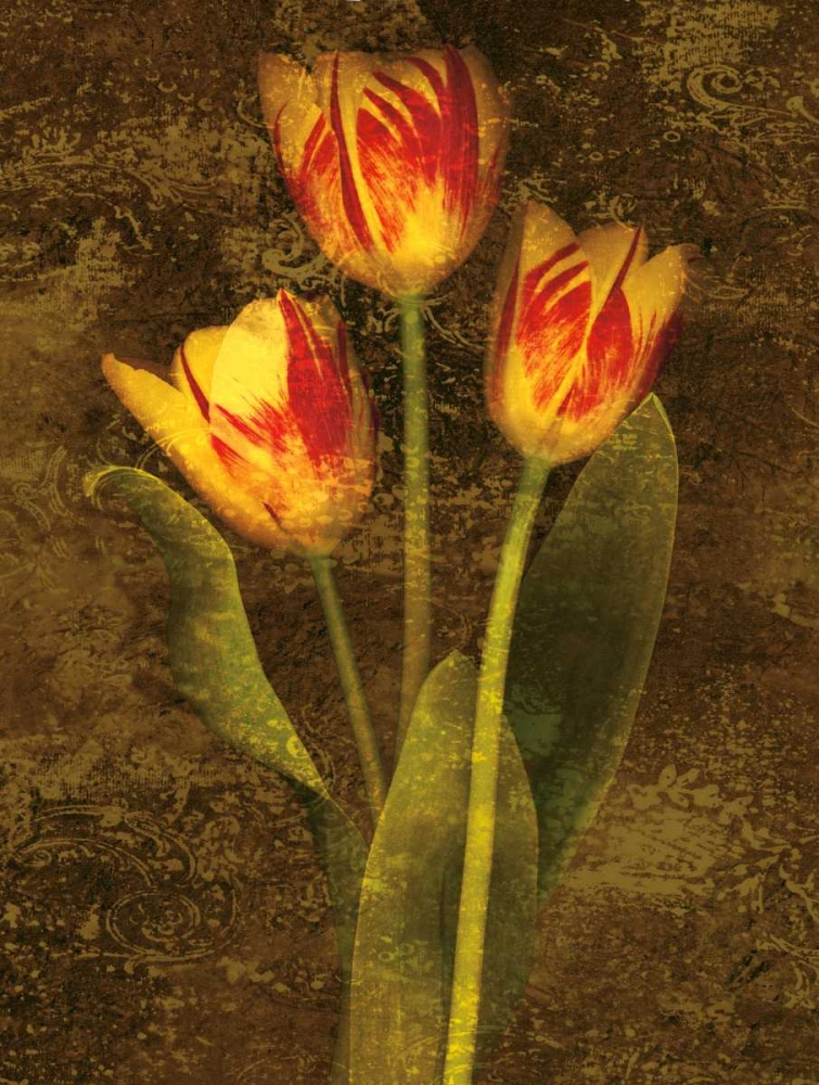 Wall Art Painting id:316327, Name: Three Tulips, Artist: Seba, John