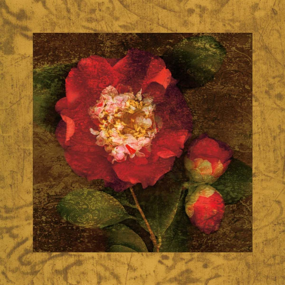 Wall Art Painting id:316328, Name: Red Camellias I, Artist: Seba, John