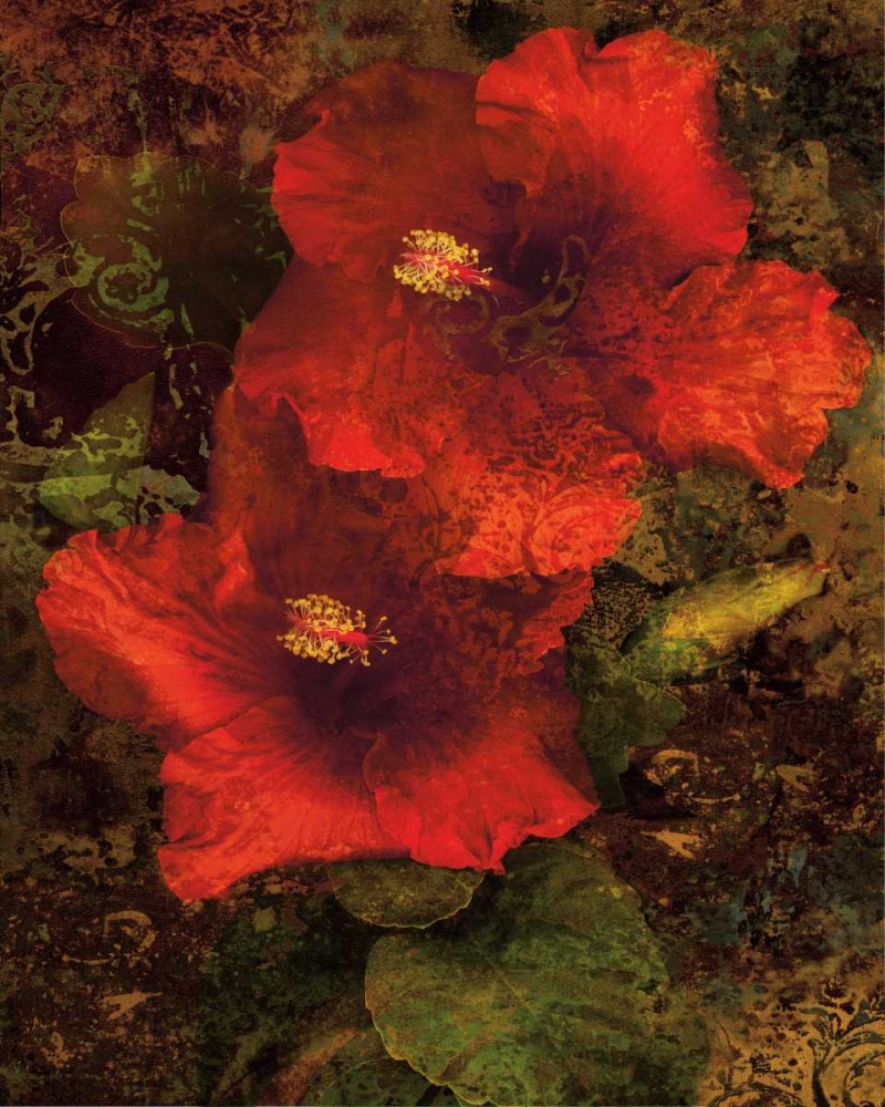 Wall Art Painting id:316331, Name: Hibiscus II, Artist: Seba, John