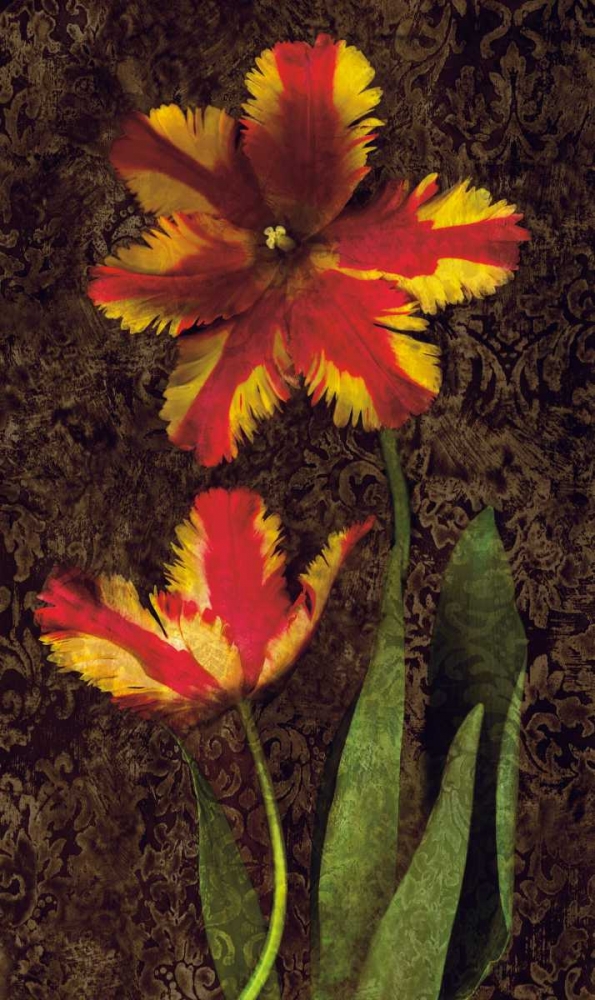 Wall Art Painting id:316335, Name: Decorative Tulips II, Artist: Seba, John