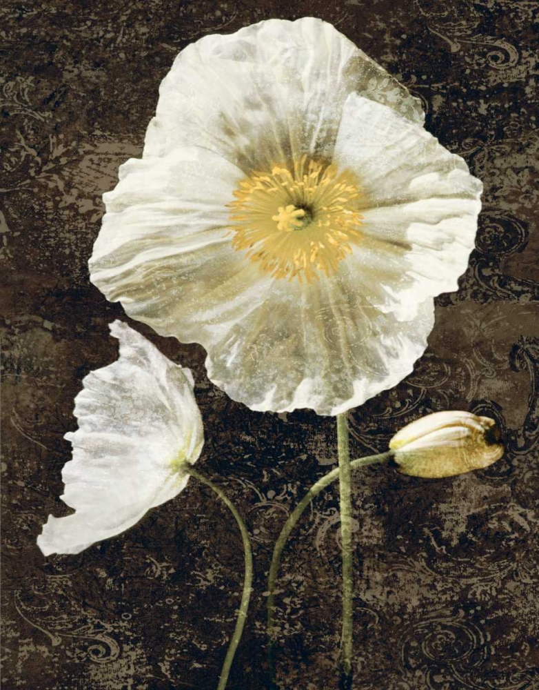 Wall Art Painting id:316337, Name: Poppies II, Artist: Seba, John