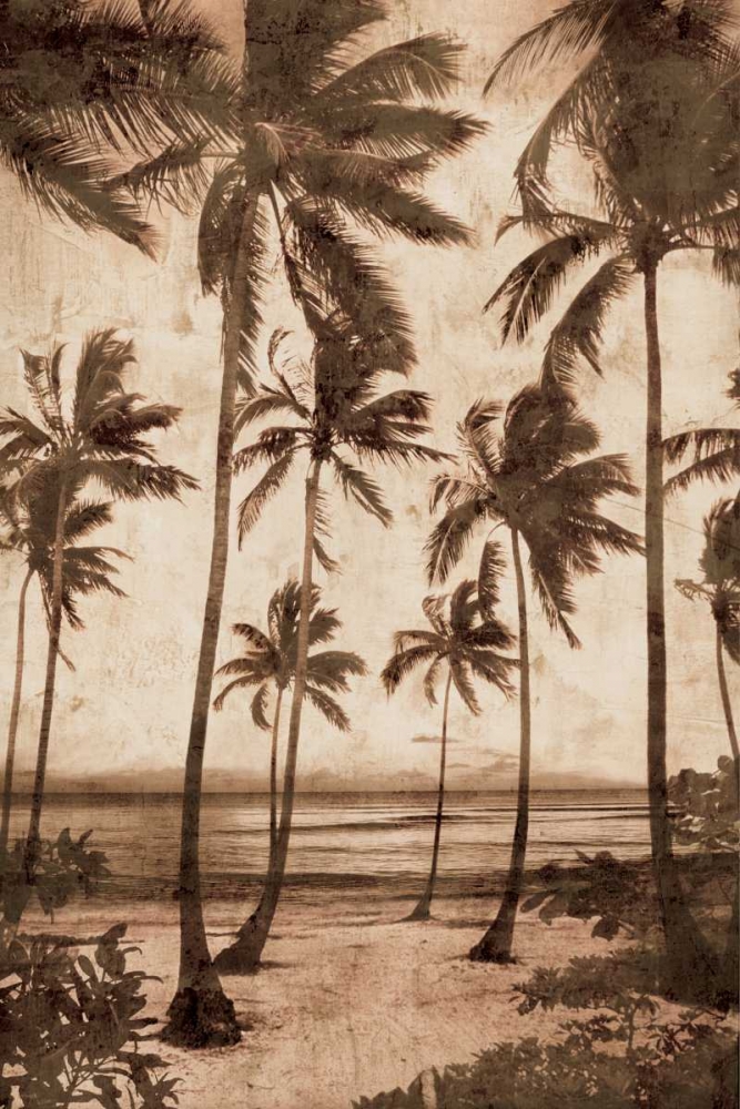 Wall Art Painting id:316366, Name: Trade Winds II, Artist: Seba, John