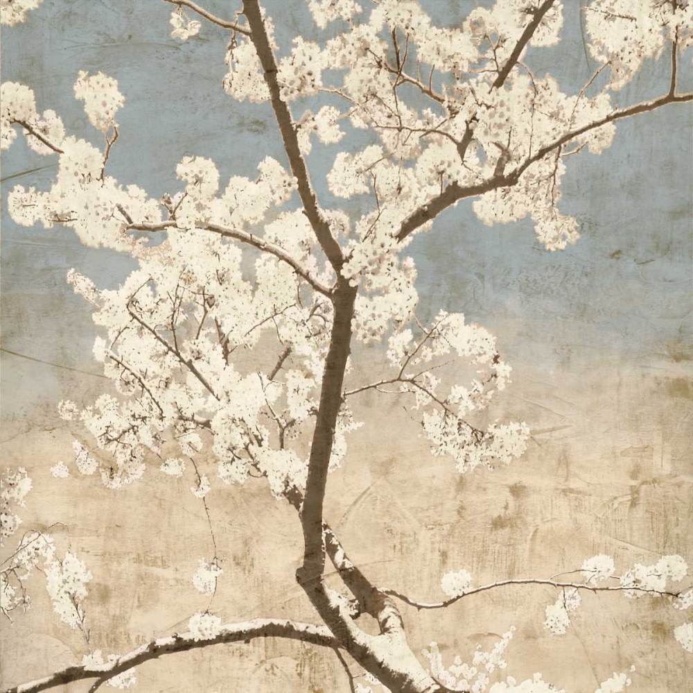 Wall art: Cherry Blossoms I, by Seba, John