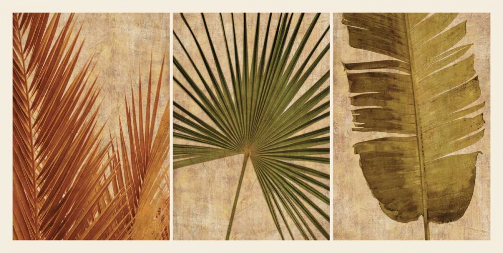 Art Print: Palm Vista II