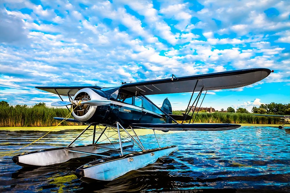 Similar wall art painting: 319682