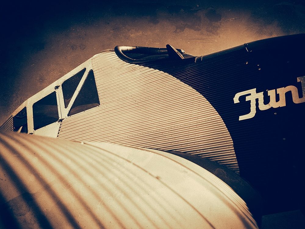 Art Print: Cock Pit I