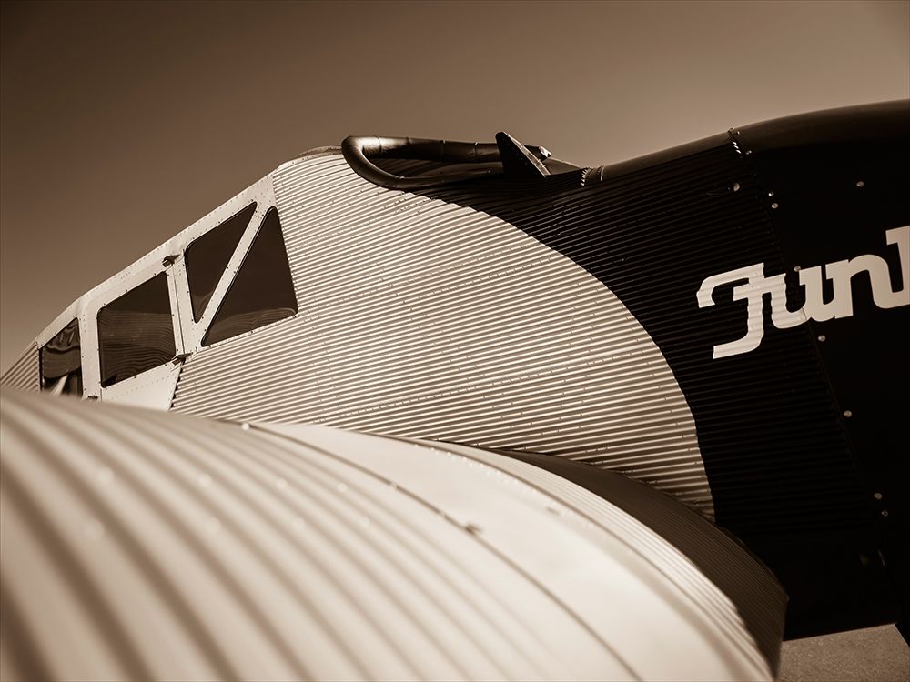 Art Print: Cock Pit II