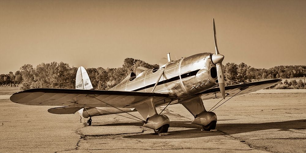 Art Print: Mono Plane II