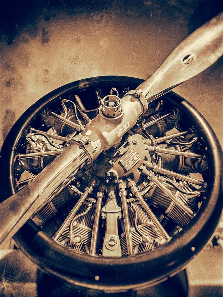 Art Print: Propeller I