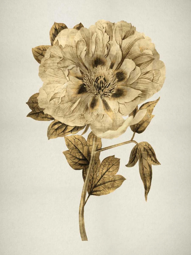 Wall Art Painting id:315049, Name: Gold Tulip I, Artist: Bennett, Kate