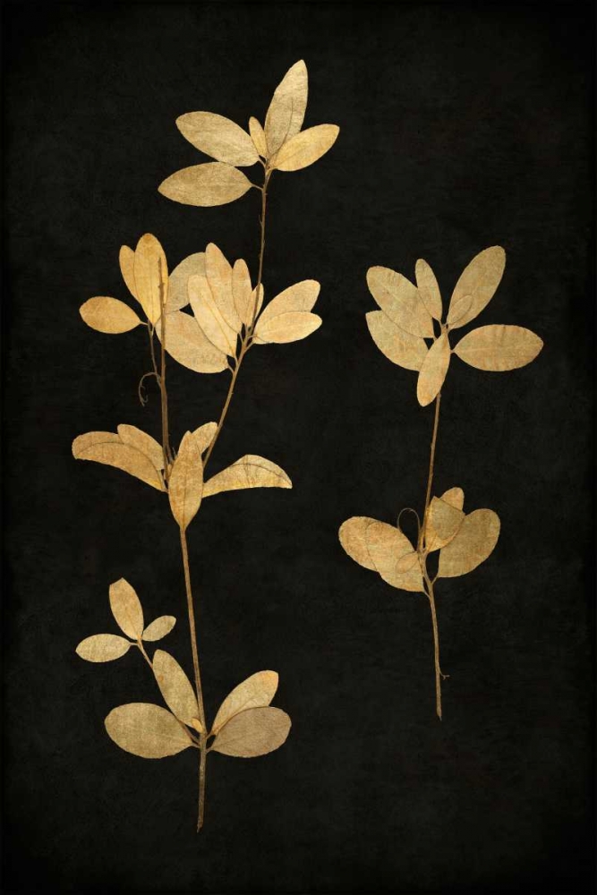 Wall art: Golden Nature IV, by Bennett, Kate