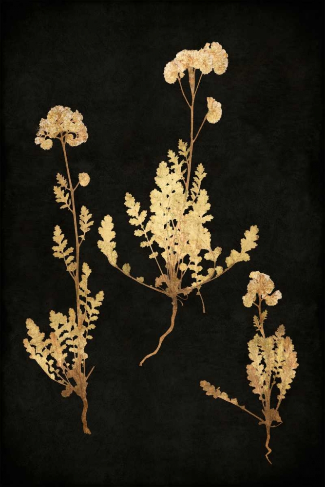 Art Print: Golden Nature V