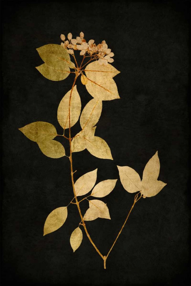 Wall art: Golden Nature VI, by Bennett, Kate