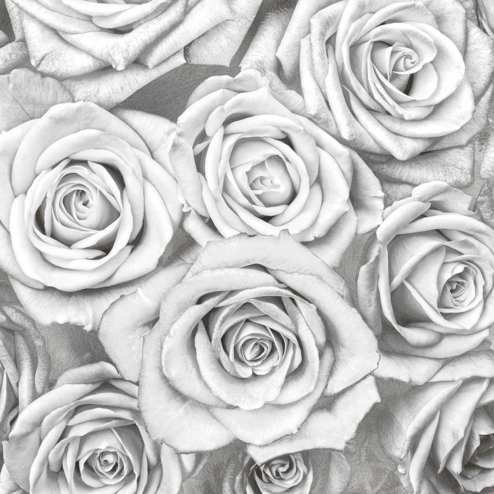 Wall art: Roses - White on Silver, by Bennett, Kate