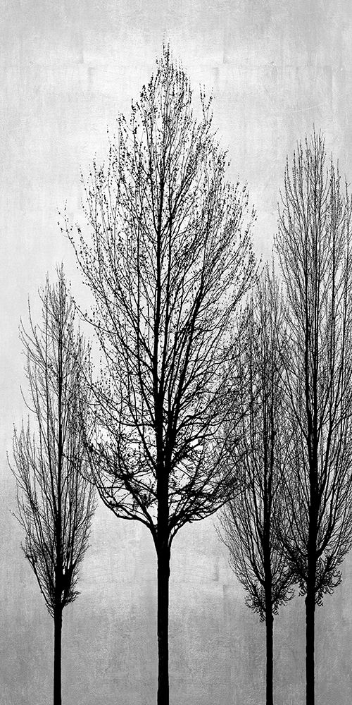 Art Print: Trees on Silver Panel II