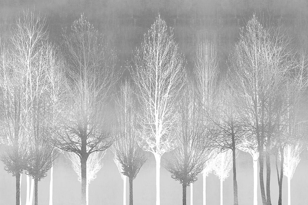 Art Print: Silver Trees